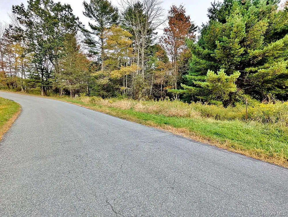 000 Kautz Road Callicoon, NY 12723