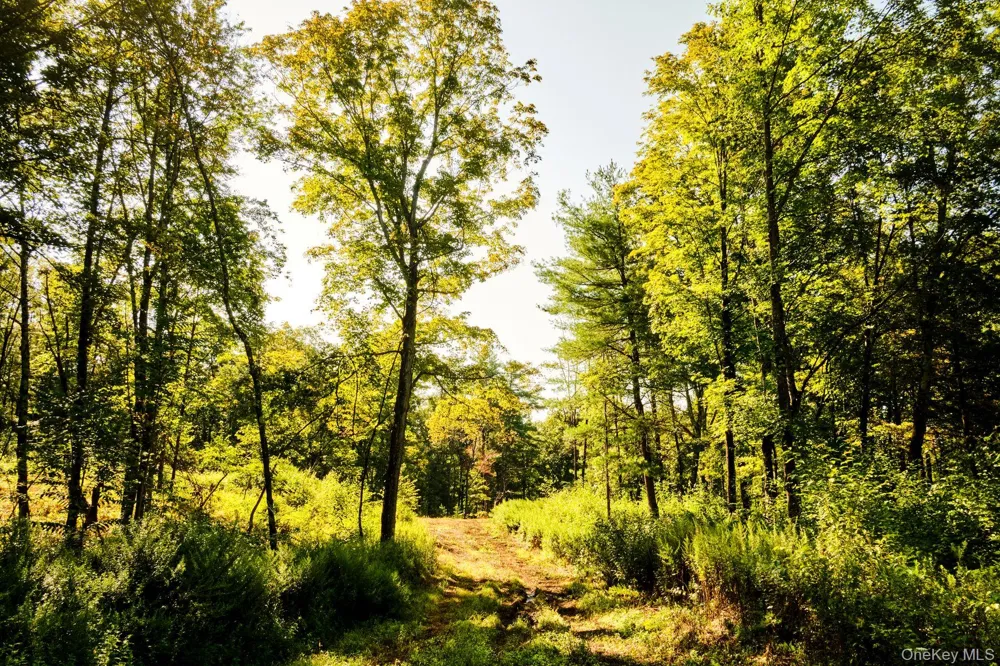 60 Stone Wall Path Red Hook, NY 12571