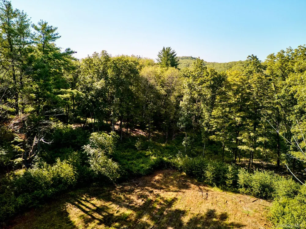 60 Stone Wall Path Red Hook, NY 12571