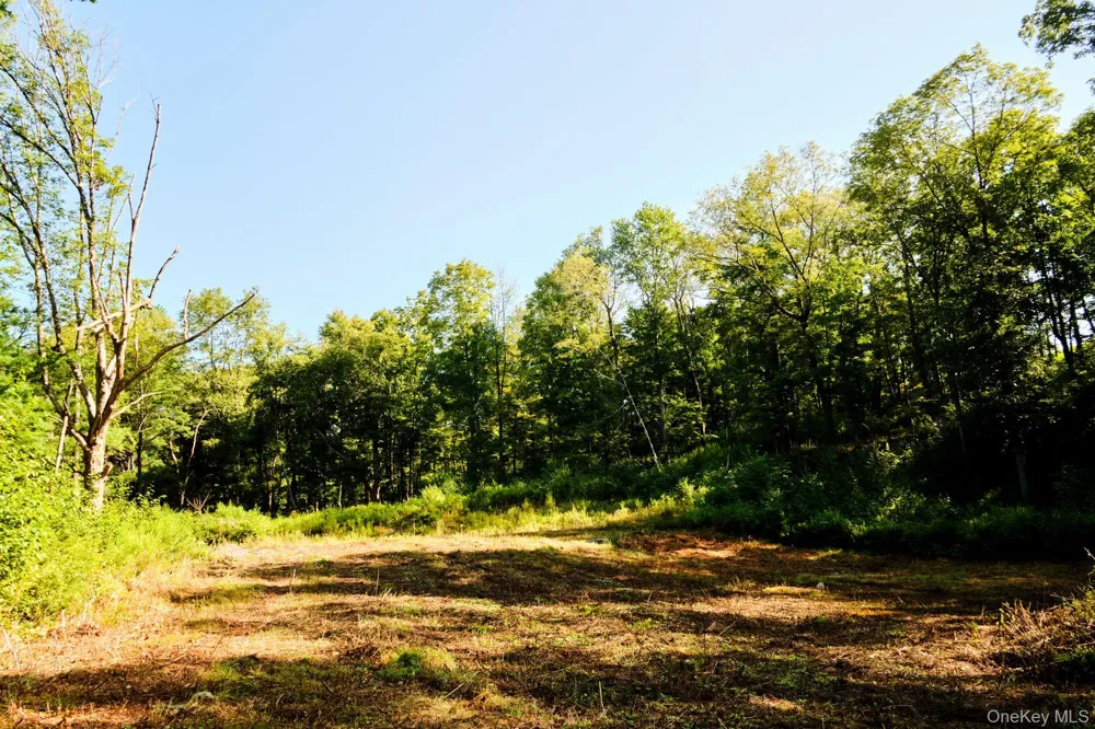 60 Stone Wall Path Red Hook, NY 12571