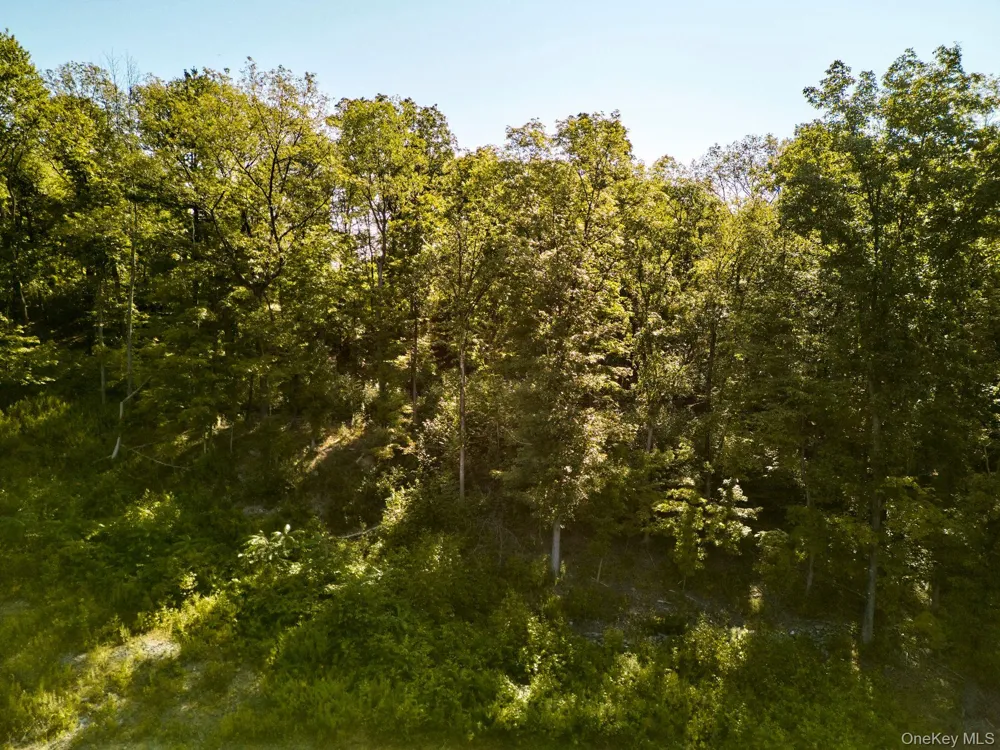 60 Stone Wall Path Red Hook, NY 12571