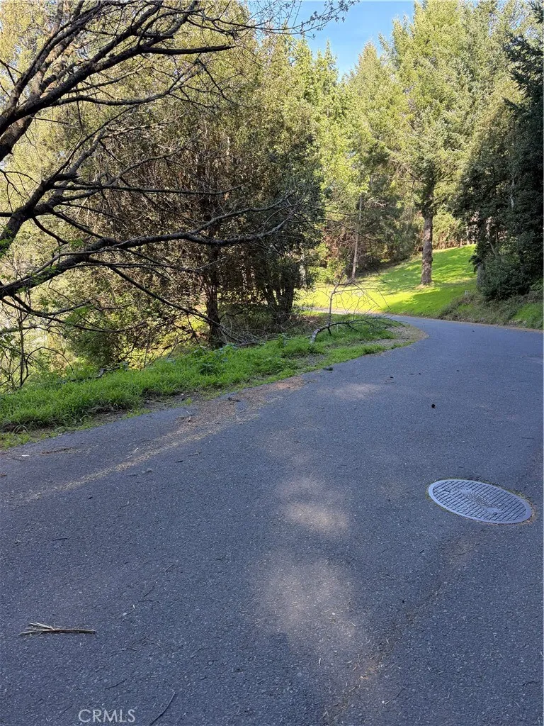 767 Spring Road Shelter Cove, CA 95589