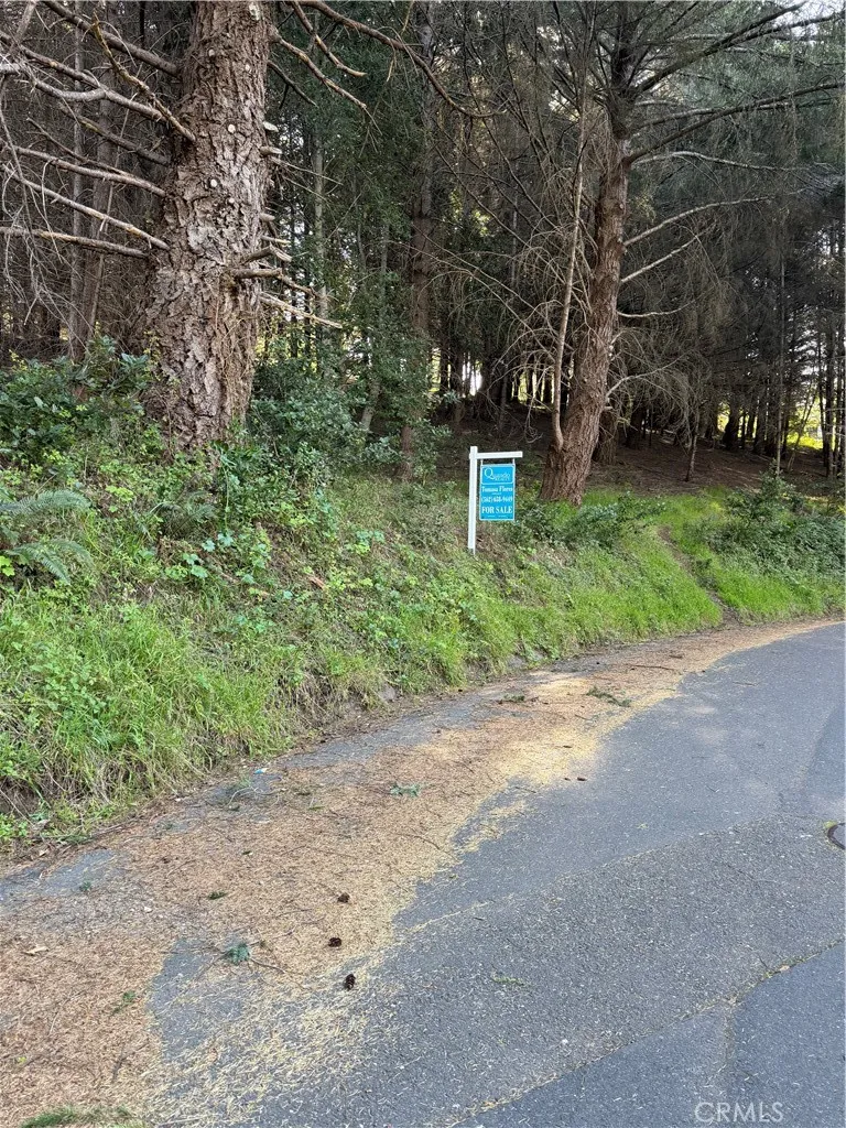 767 Spring Road Shelter Cove, CA 95589