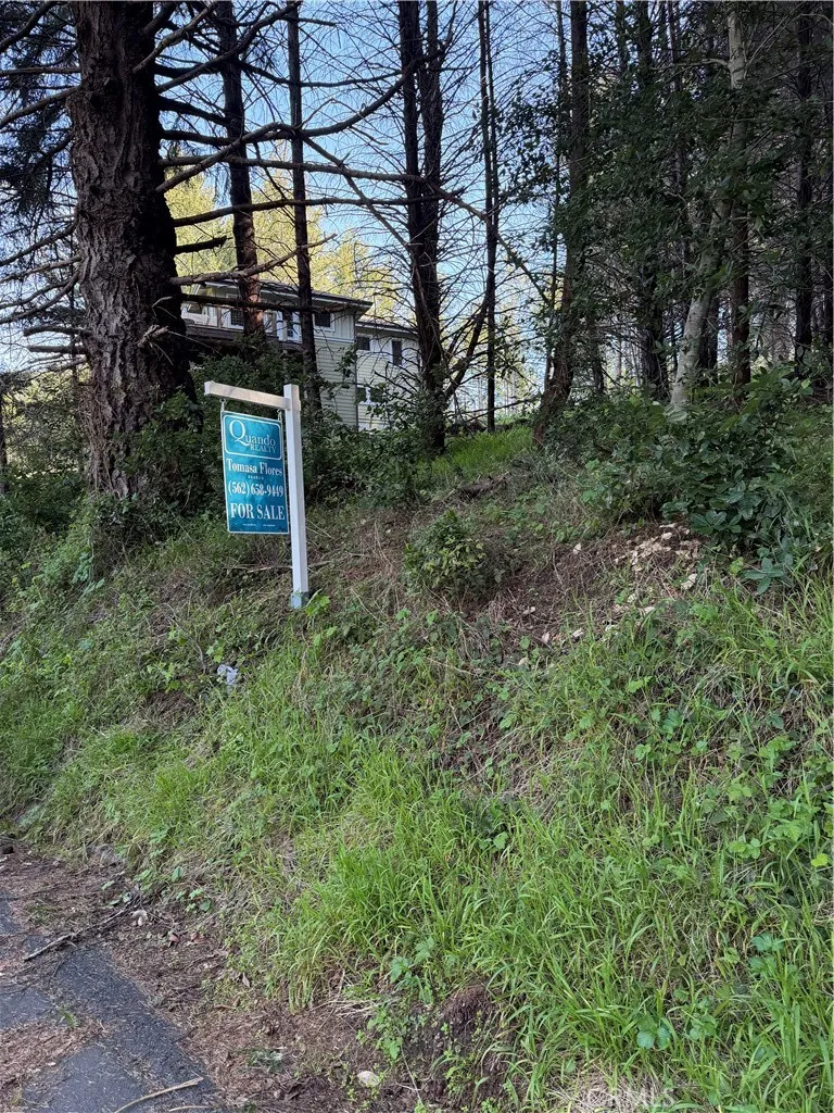 767 Spring Road Shelter Cove, CA 95589