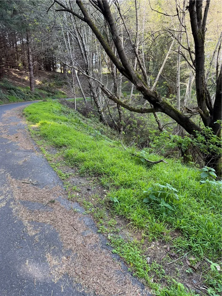 767 Spring Road Shelter Cove, CA 95589