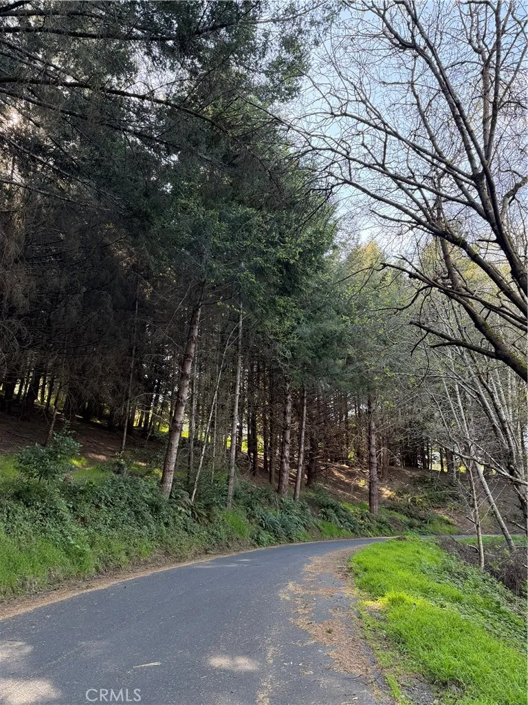 767 Spring Road Shelter Cove, CA 95589