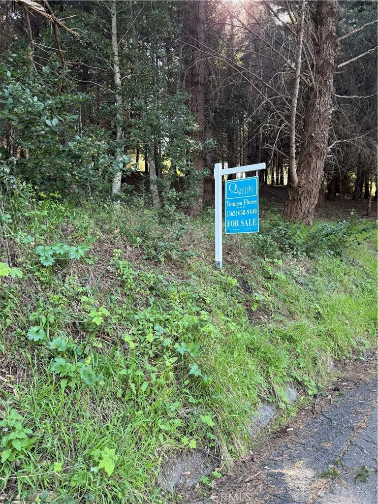767 Spring Road Shelter Cove, CA 95589