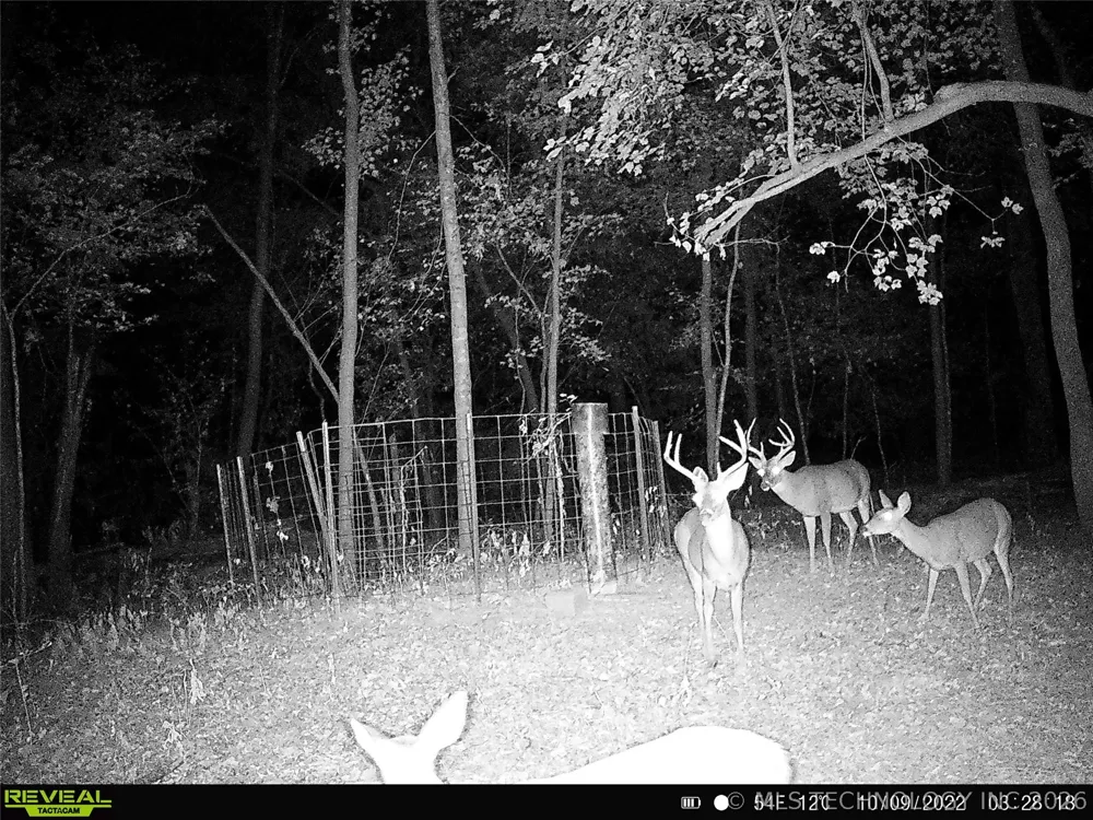 101555 4590 LOOP Vian, OK 74962
