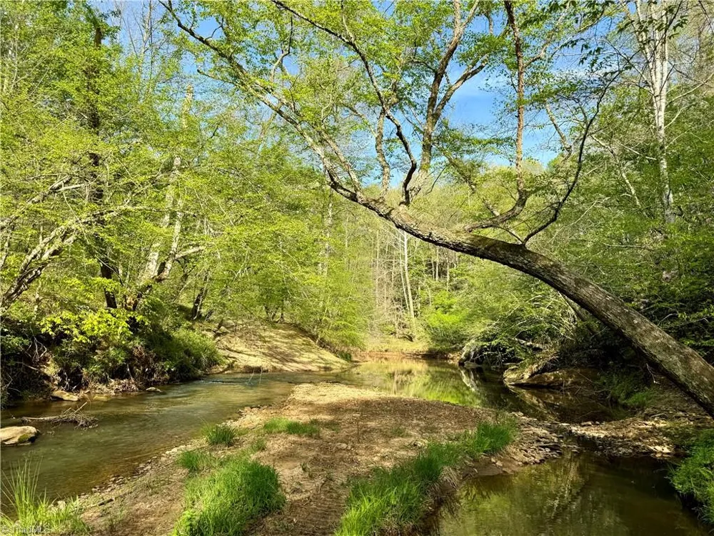 0 Otis Woods Road Danbury, NC 27046