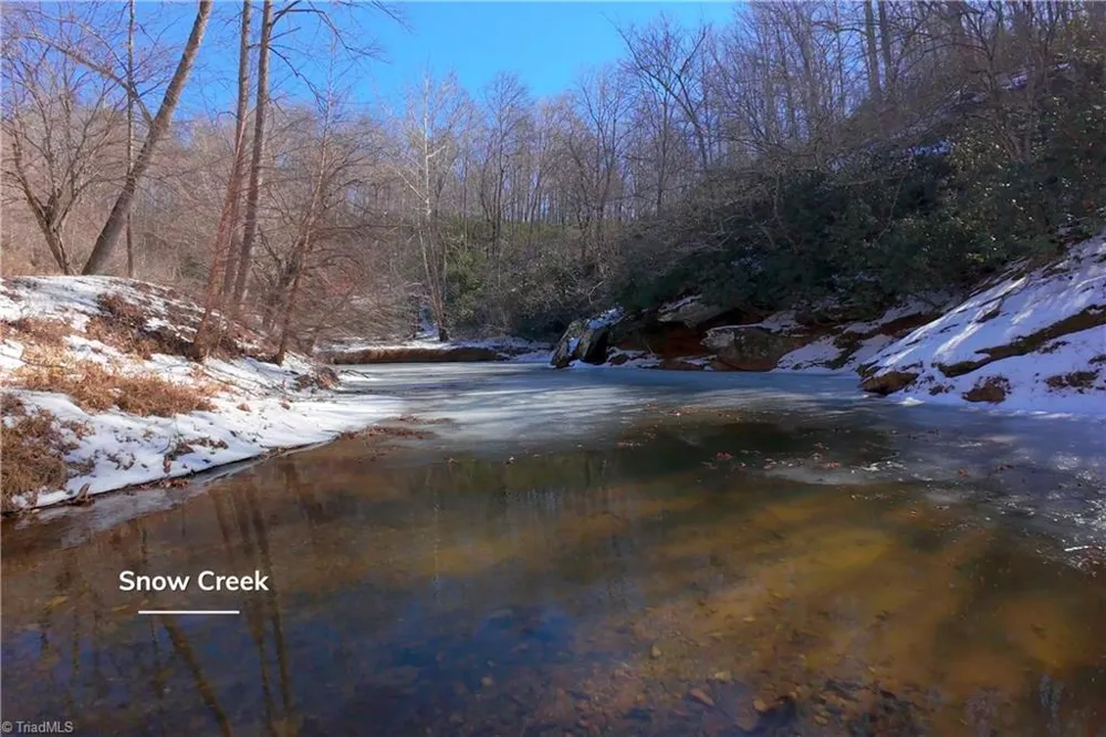 0 Otis Woods Road Danbury, NC 27046