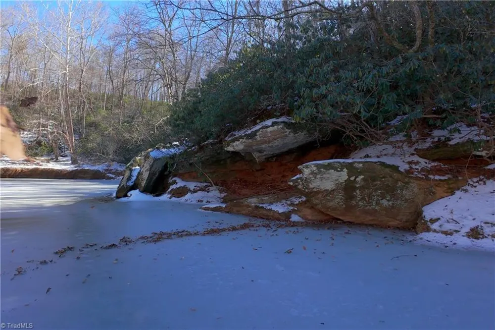 0 Otis Woods Road Danbury, NC 27046