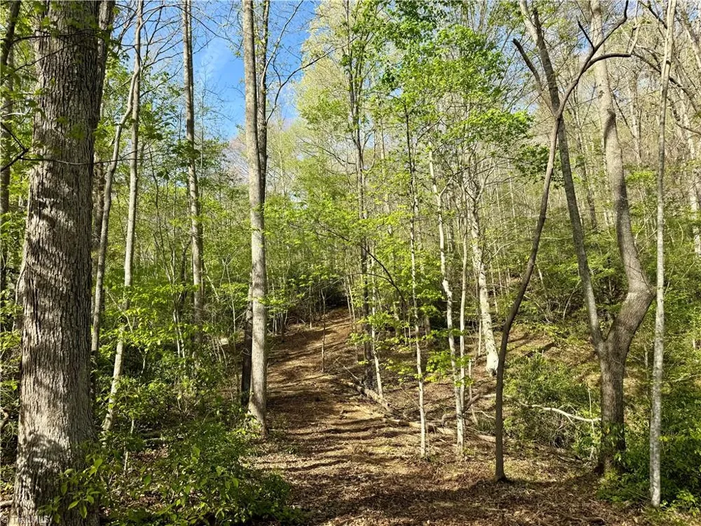 0 Otis Woods Road Danbury, NC 27046
