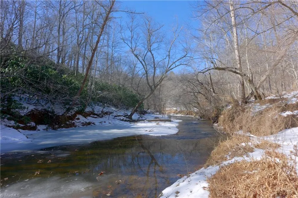 0 Otis Woods Road Danbury, NC 27046