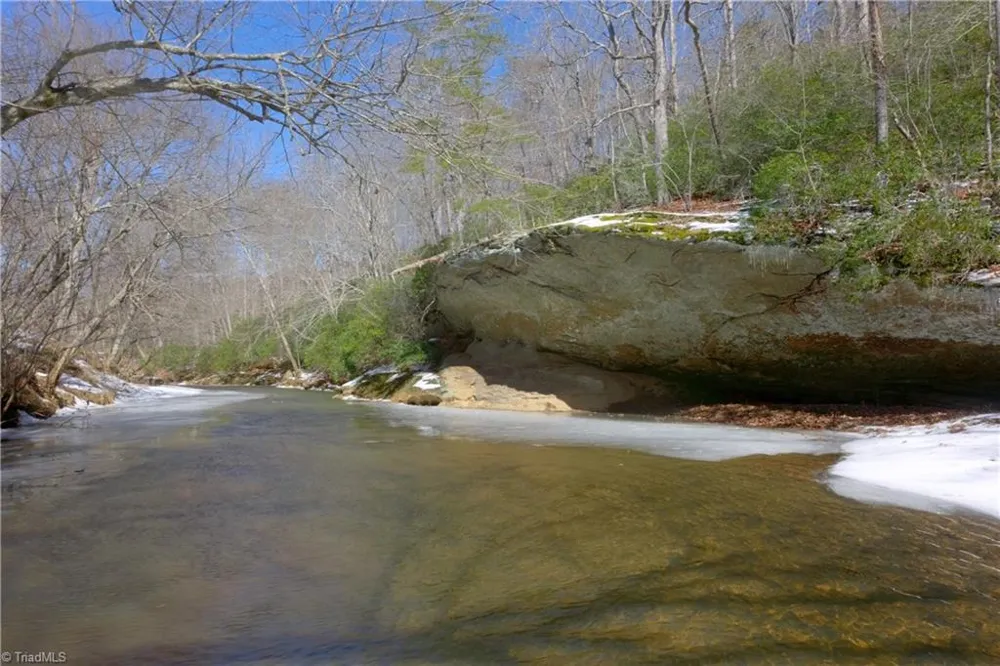 0 Otis Woods Road Danbury, NC 27046