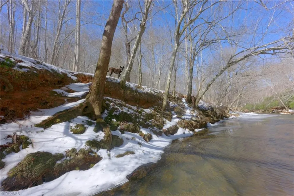 0 Otis Woods Road Danbury, NC 27046