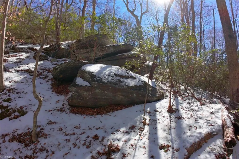 0 Otis Woods Road Danbury, NC 27046