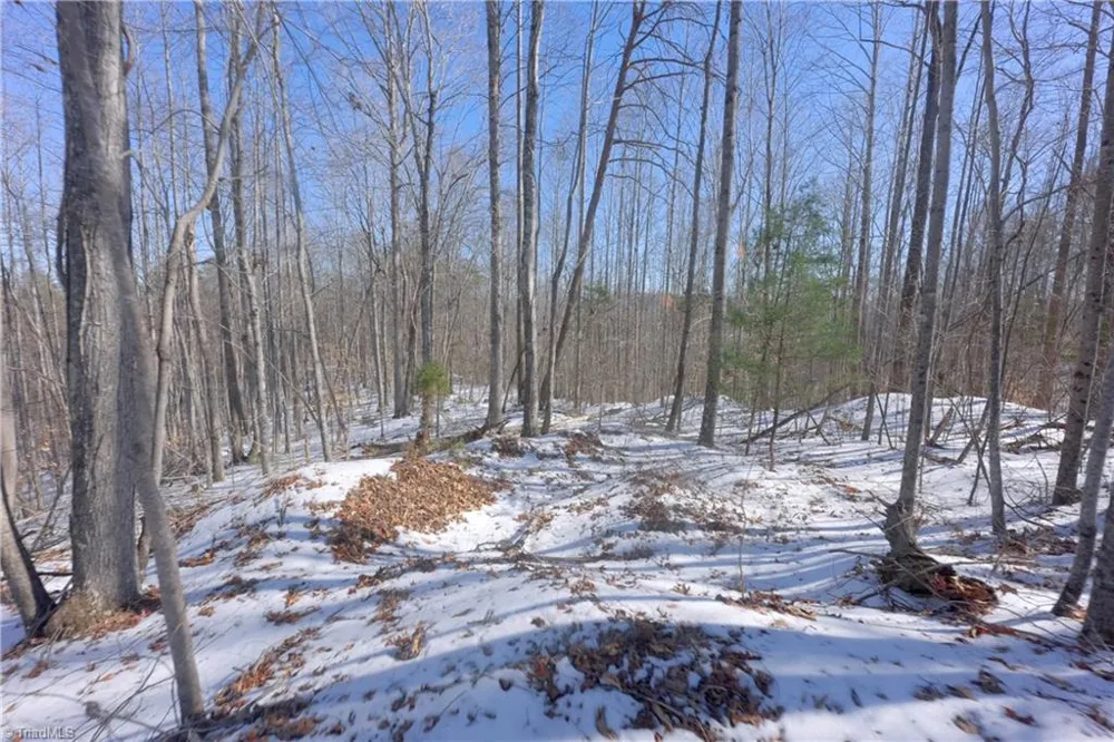 0 Otis Woods Road Danbury, NC 27046