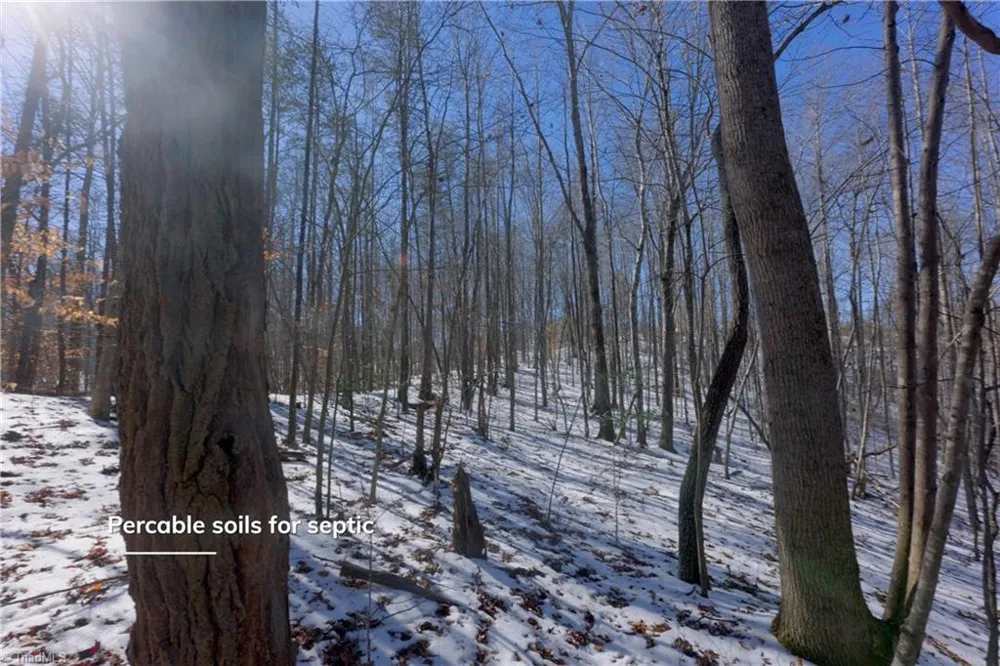 0 Otis Woods Road Danbury, NC 27046