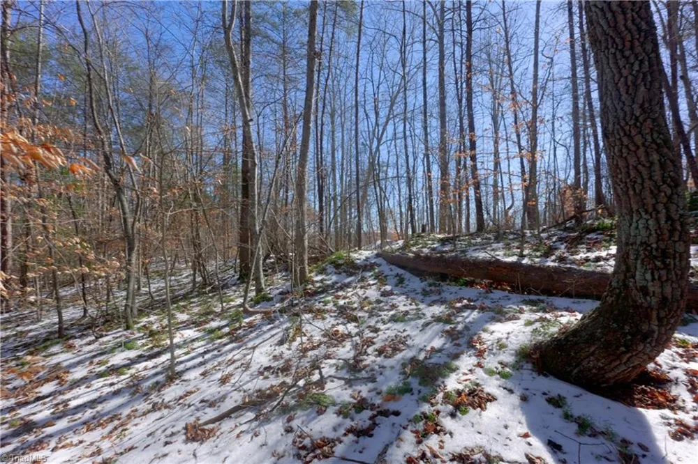 0 Otis Woods Road Danbury, NC 27046