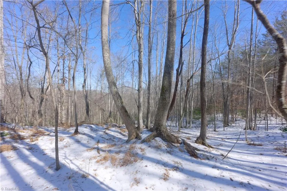 0 Otis Woods Road Danbury, NC 27046