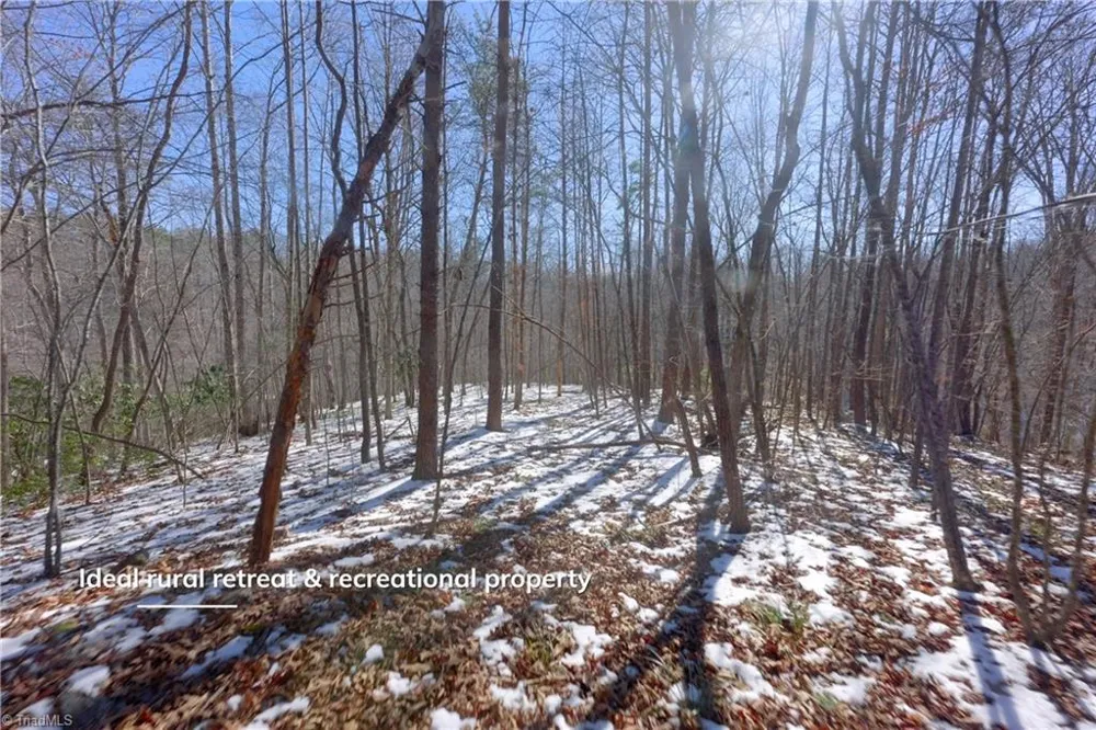 0 Otis Woods Road Danbury, NC 27046