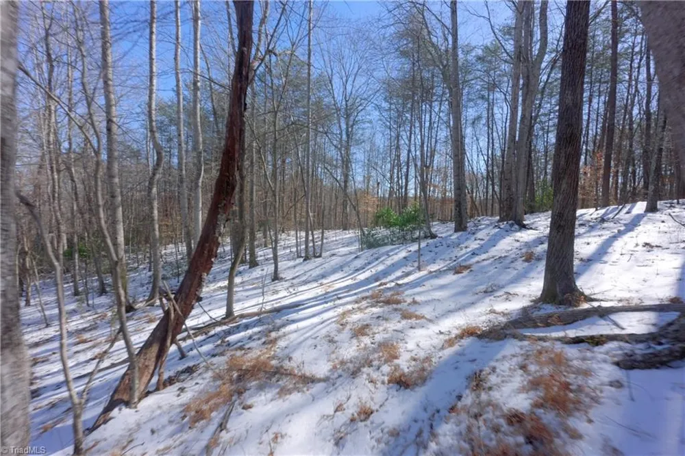 0 Otis Woods Road Danbury, NC 27046