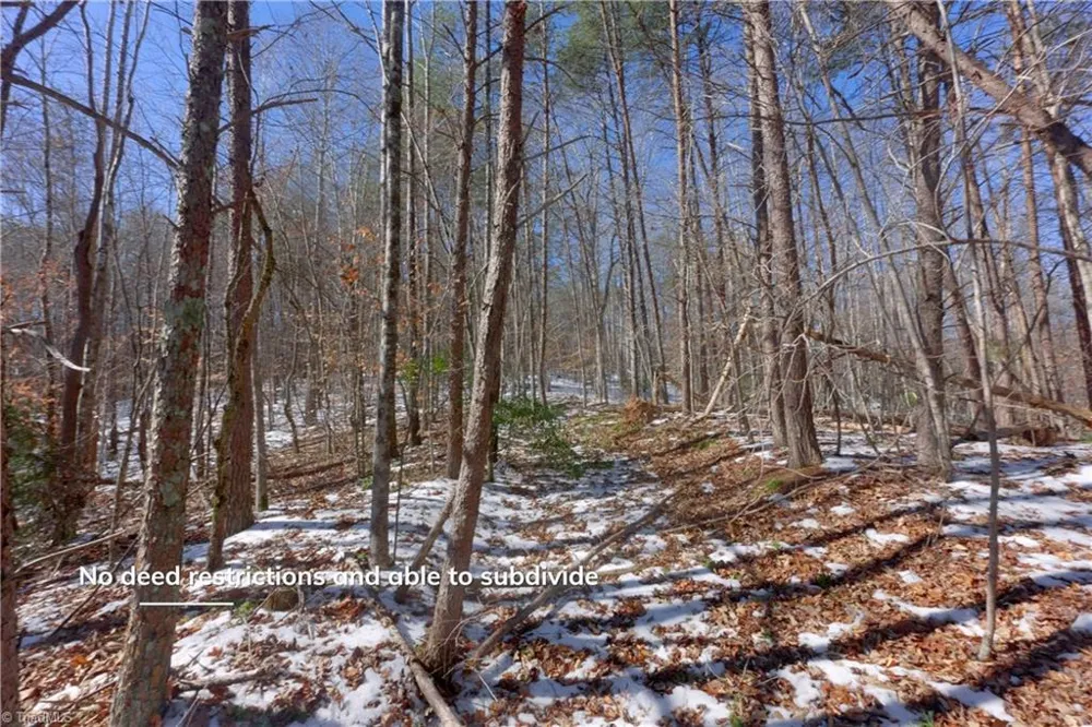 0 Otis Woods Road Danbury, NC 27046