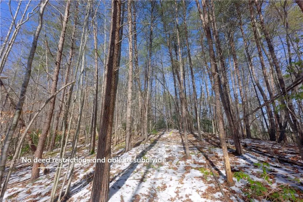 0 Otis Woods Road Danbury, NC 27046