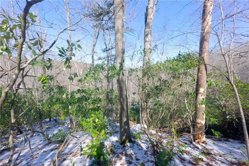 0 Otis Woods Road Danbury, NC 27046