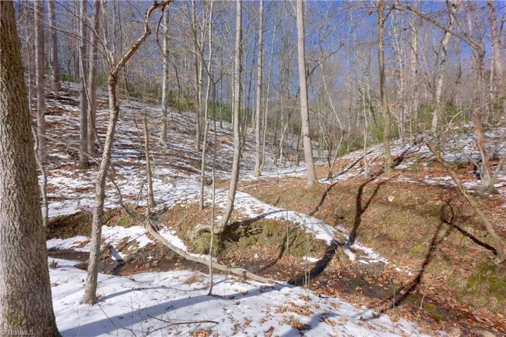 0 Otis Woods Road Danbury, NC 27046