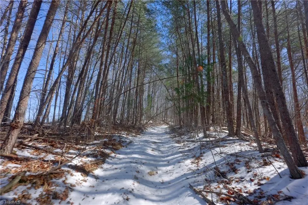 0 Otis Woods Road Danbury, NC 27046