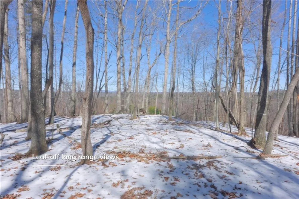 0 Otis Woods Road Danbury, NC 27046