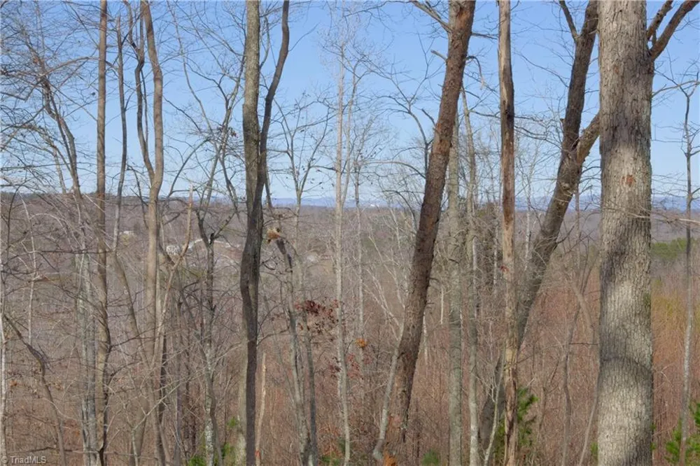 0 Otis Woods Road Danbury, NC 27046