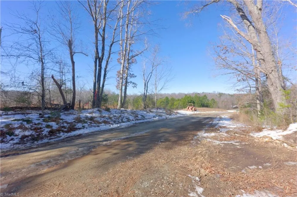0 Otis Woods Road Danbury, NC 27046