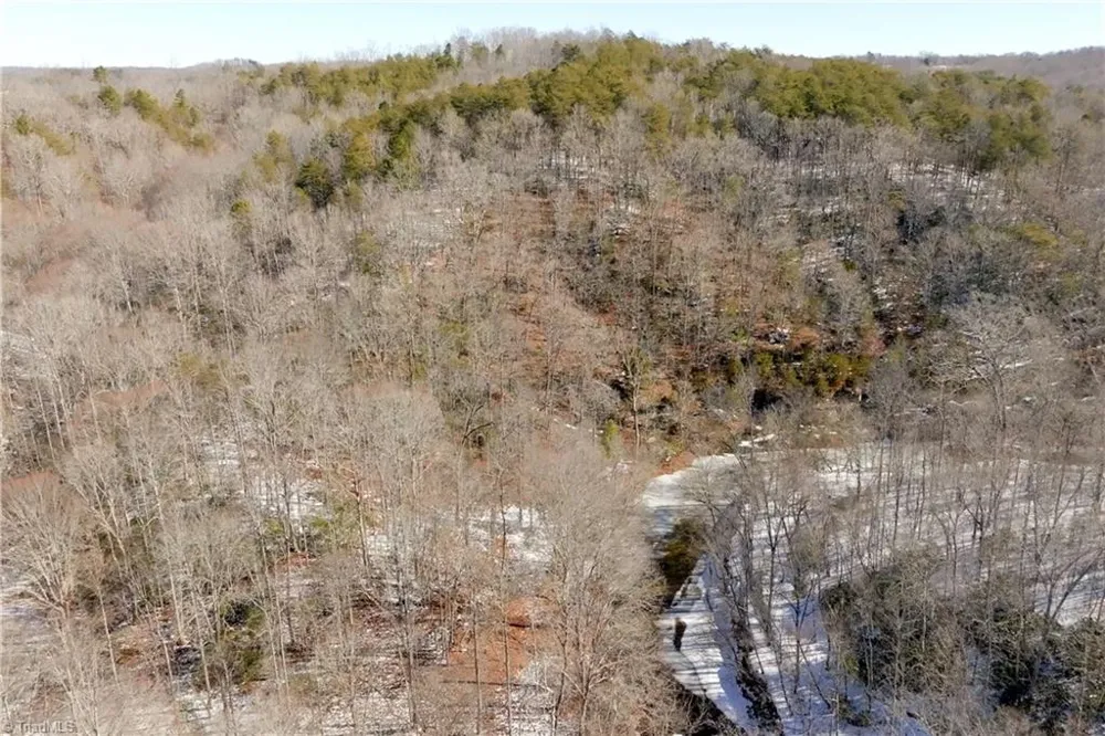 0 Otis Woods Road Danbury, NC 27046