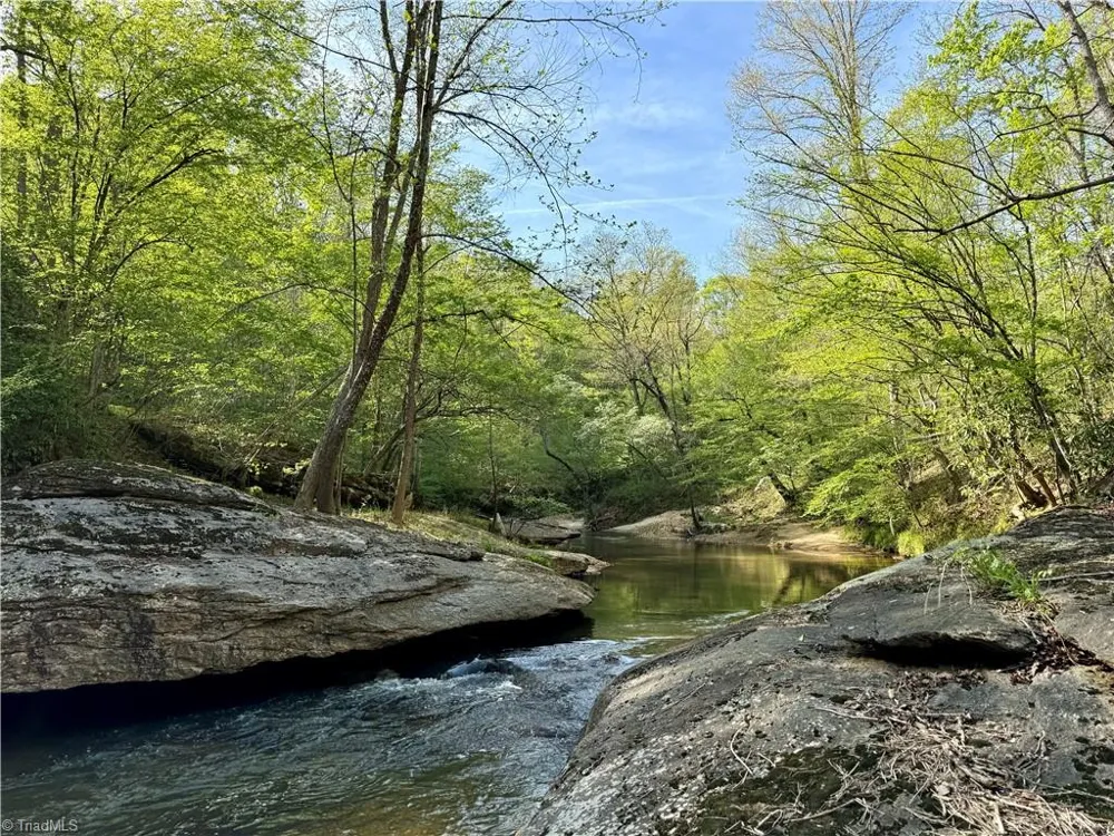 0 Otis Woods Road Danbury, NC 27046