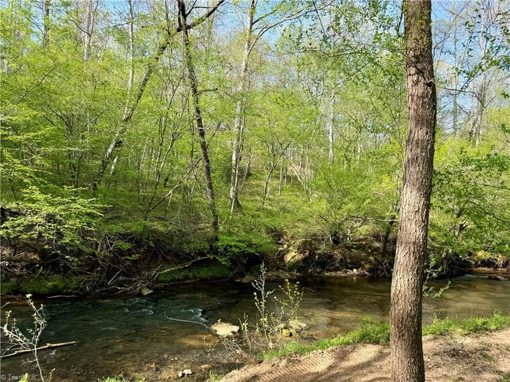 0 Otis Woods Road Danbury, NC 27046