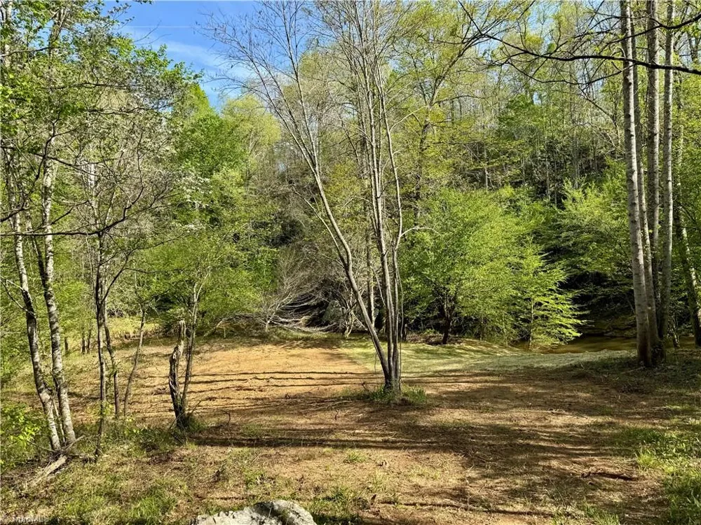 0 Otis Woods Road Danbury, NC 27046
