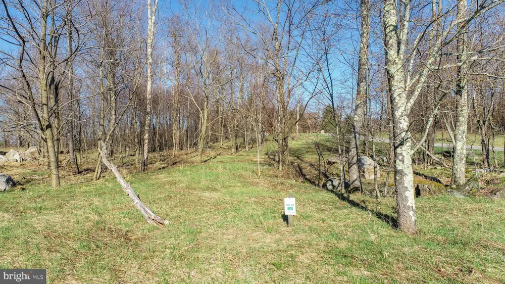 65 CAMP CIRCLE Mc Henry, MD 21541