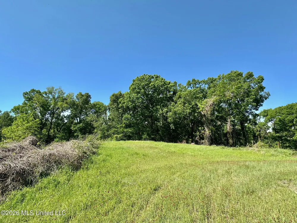 0 Malmaison Road Carrollton, MS 38917