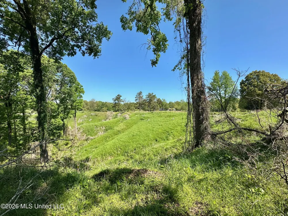 0 Malmaison Road Carrollton, MS 38917