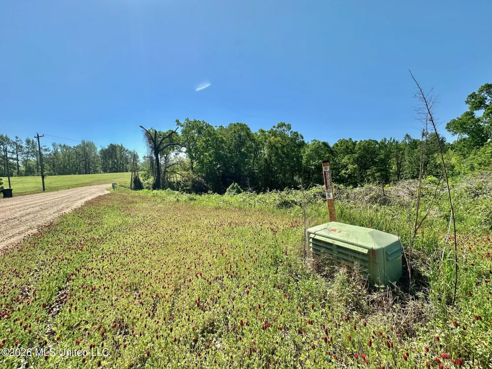 0 Malmaison Road Carrollton, MS 38917