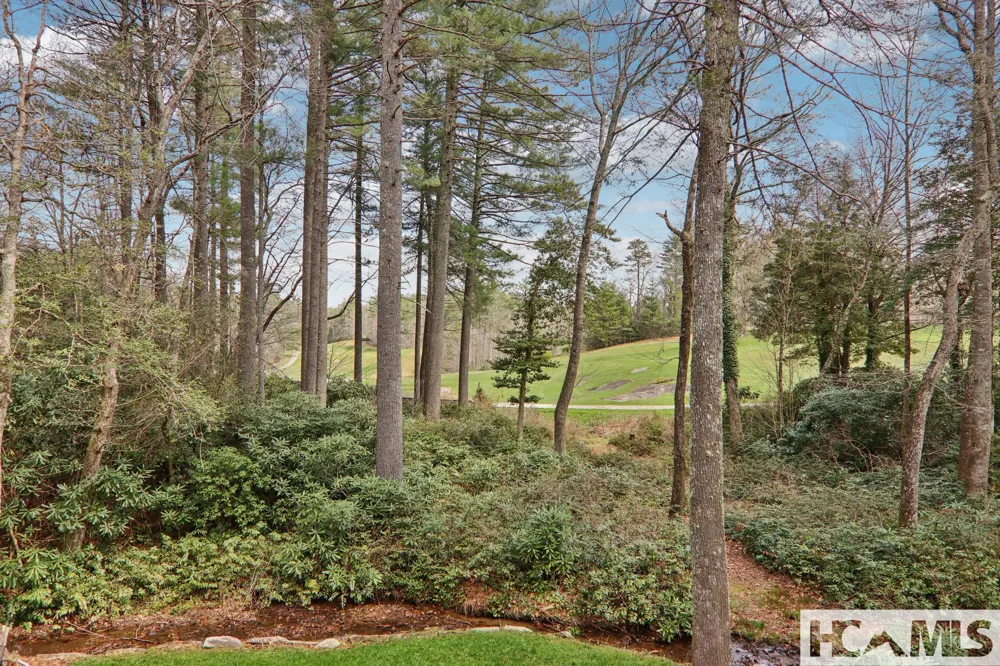 46 Mills Creek Drive Lake Toxaway, NC 28747