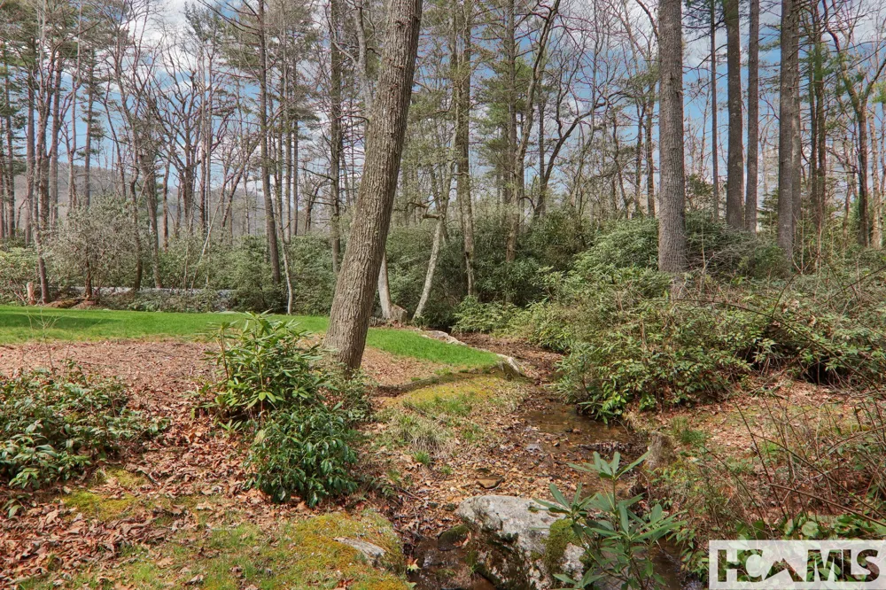 46 Mills Creek Drive Lake Toxaway, NC 28747