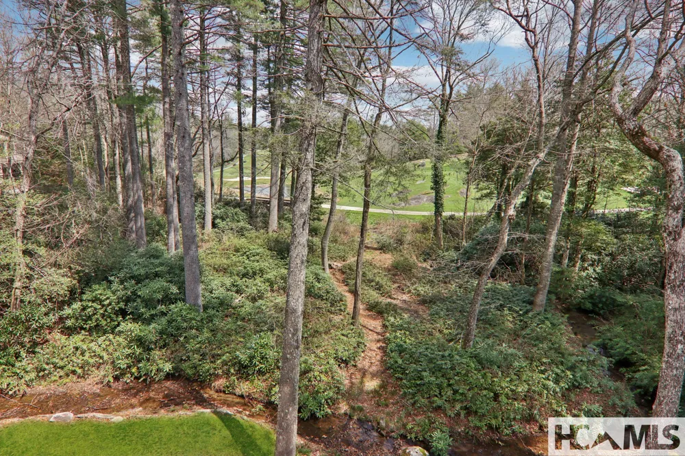 46 Mills Creek Drive Lake Toxaway, NC 28747
