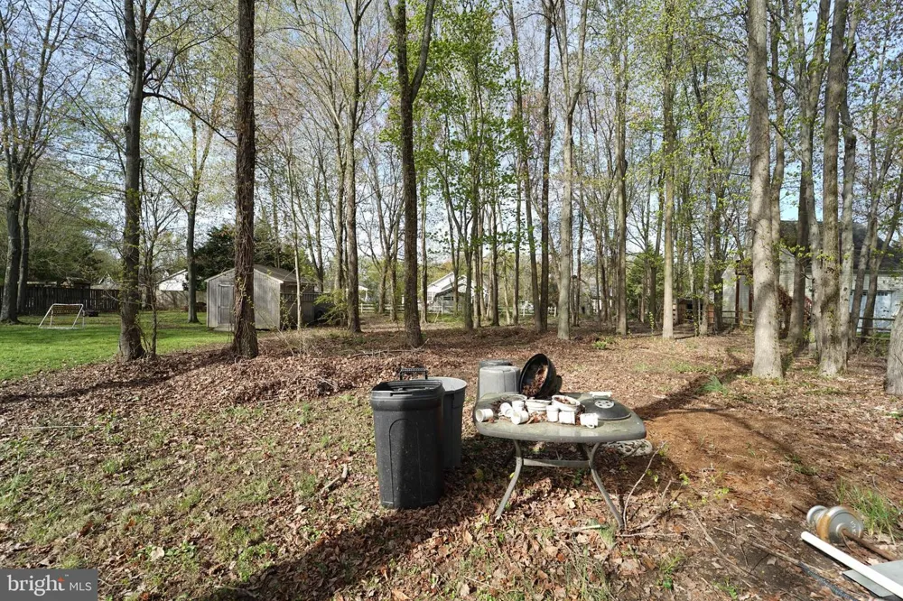 729 DAVOL ROAD Stevensville, MD 21666