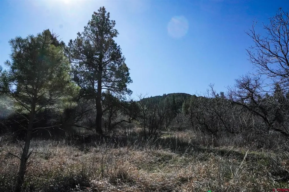 912 Alpine Drive Bayfield, CO 81122