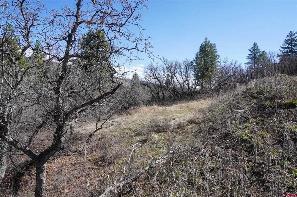 912 Alpine Drive Bayfield, CO 81122