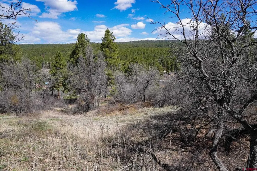 912 Alpine Drive Bayfield, CO 81122