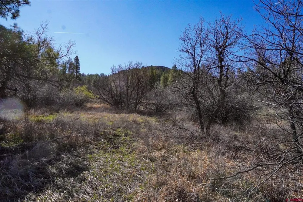 912 Alpine Drive Bayfield, CO 81122